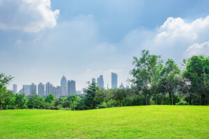 City park