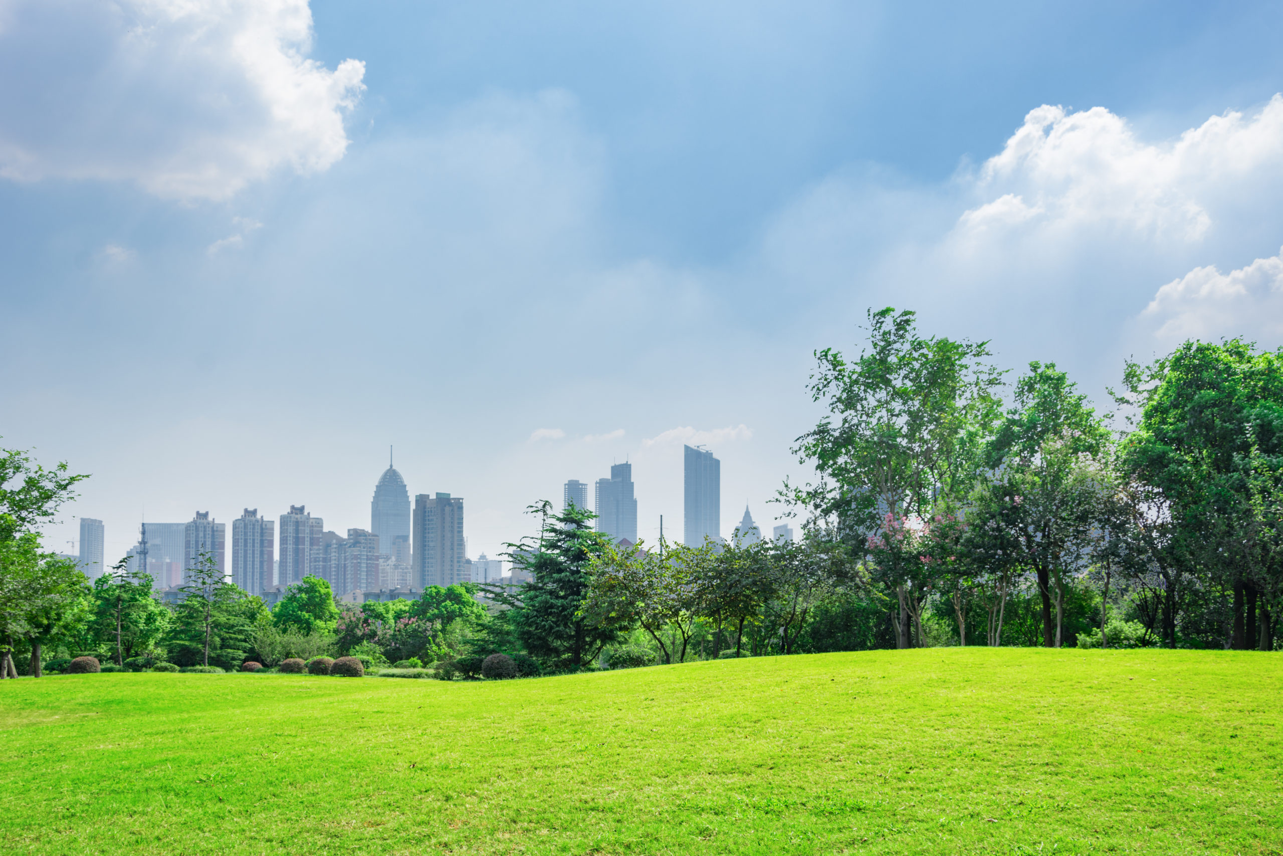 City park