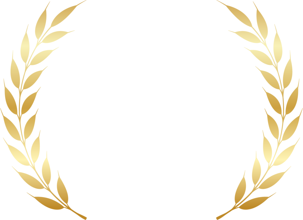 融資総額3億円以上のアイコン