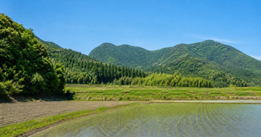 香川県の山林・農地を相続した場合の評価方法と申告の注意点